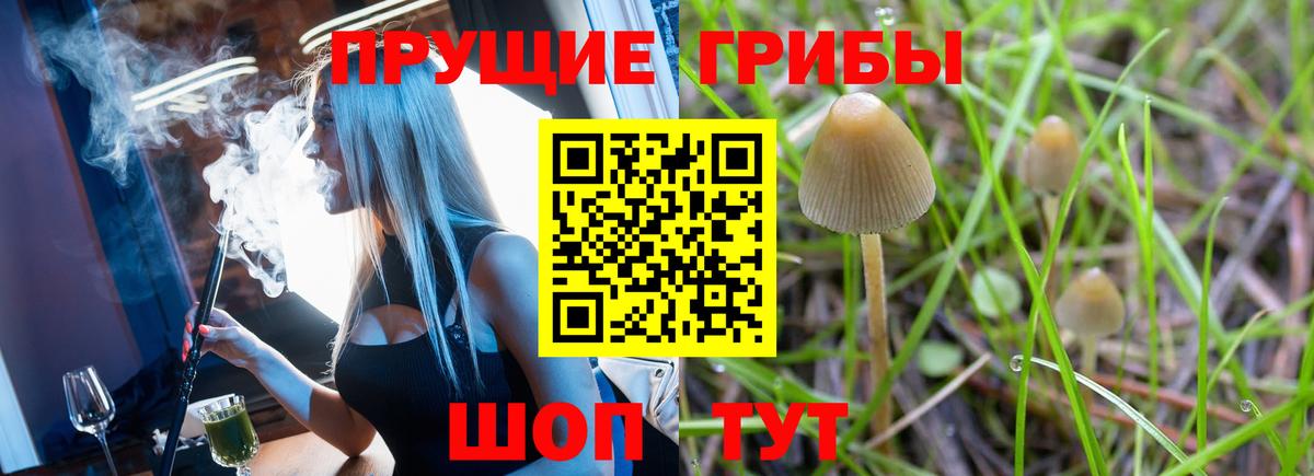 Галлюциногенные грибы мицелий Заринск